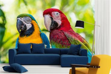 „Tiermotiv-Fototapete MS-5-0412 als Blickfang im Wohnzimmer – lebendige Farben und räumliche Tiefe“