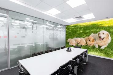 „Tiermotiv-Fototapete MS-5-0428 als Blickfang im Wohnzimmer – lebendige Farben und räumliche Tiefe“