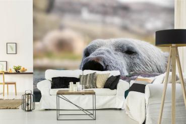„Tiermotiv-Fototapete MS-5-0441 als Blickfang im Wohnzimmer – lebendige Farben und räumliche Tiefe“