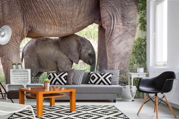„Tiermotiv-Fototapete MS-5-0480 als Blickfang im Wohnzimmer – lebendige Farben und räumliche Tiefe“
