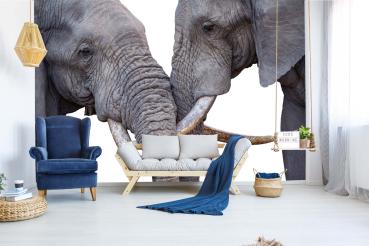 „Tiermotiv-Fototapete MS-5-0481 als Blickfang im Wohnzimmer – lebendige Farben und räumliche Tiefe“