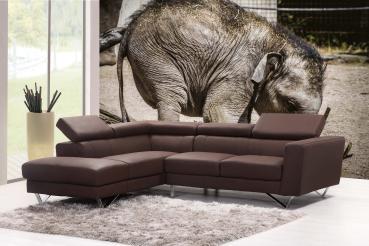 „Tiermotiv-Fototapete MS-5-0483 als Blickfang im Wohnzimmer – lebendige Farben und räumliche Tiefe“