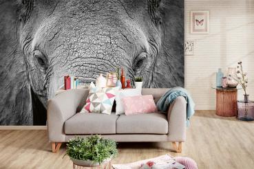 „Tiermotiv-Fototapete MS-5-0484 als Blickfang im Wohnzimmer – lebendige Farben und räumliche Tiefe“