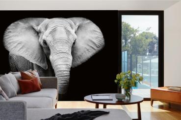 „Tiermotiv-Fototapete MS-5-0485 als Blickfang im Wohnzimmer – lebendige Farben und räumliche Tiefe“