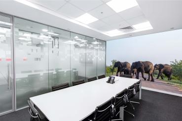 „Tiermotiv-Fototapete MS-5-0486 als Blickfang im Wohnzimmer – lebendige Farben und räumliche Tiefe“