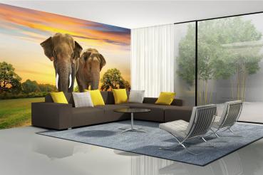 „Tiermotiv-Fototapete MS-5-0489 als Blickfang im Wohnzimmer – lebendige Farben und räumliche Tiefe“