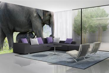 „Tiermotiv-Fototapete MS-5-0493 als Blickfang im Wohnzimmer – lebendige Farben und räumliche Tiefe“