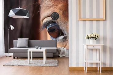 „Tiermotiv-Fototapete MS-5-0511 als Blickfang im Wohnzimmer – lebendige Farben und räumliche Tiefe“