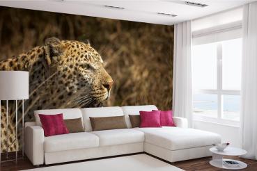 „Tiermotiv-Fototapete MS-5-0560 als Blickfang im Wohnzimmer – lebendige Farben und räumliche Tiefe“