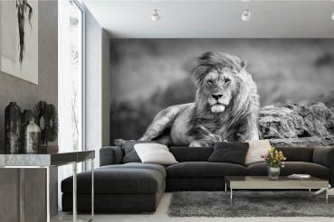 „Tiermotiv-Fototapete MS-5-0565 als Blickfang im Wohnzimmer – lebendige Farben und räumliche Tiefe“