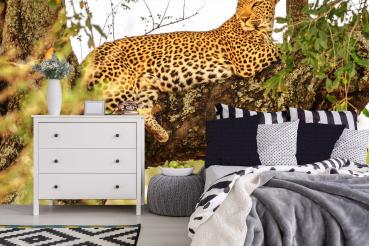 „Tiermotiv-Fototapete MS-5-0571 als Blickfang im Wohnzimmer – lebendige Farben und räumliche Tiefe“