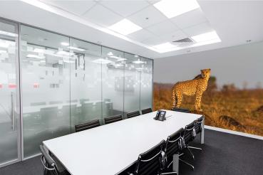 „Tiermotiv-Fototapete MS-5-0573 als Blickfang im Wohnzimmer – lebendige Farben und räumliche Tiefe“