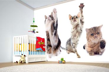 „Tiermotiv-Fototapete MS-5-0593 als Blickfang im Wohnzimmer – lebendige Farben und räumliche Tiefe“
