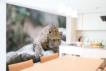 „Tiermotiv-Fototapete MS-5-0606 als Blickfang im Wohnzimmer – lebendige Farben und räumliche Tiefe“