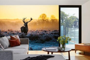 „Tiermotiv-Fototapete MS-5-0618 als Blickfang im Wohnzimmer – lebendige Farben und räumliche Tiefe“