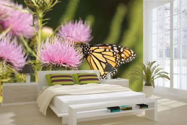 Fototapete MS-5-1303 mit Blumenmotiv – stimmungsvolle Raumansicht im Querformat, dekorativ verlegt auf großer Wandfläche.