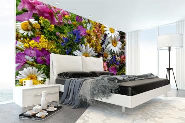 Fototapete MS-5-1329 mit Blumenmotiv – stimmungsvolle Raumansicht im Querformat, dekorativ verlegt auf großer Wandfläche.