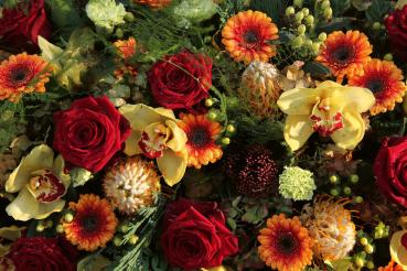 Vlies-Fototapete MS-5-1393 – Draufsicht auf florales Dessin mit warmen Farbtönen, Format 375 × 250 cm, brillante Druckqualität.