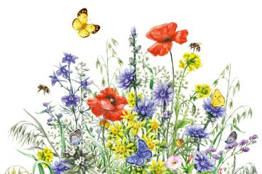 Vlies-Fototapete MS-5-1978 – Draufsicht auf florales Dessin mit warmen Farbtönen, Format 375 × 250 cm, brillante Druckqualität.