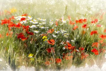 Vlies-Fototapete MS-5-1984 – Draufsicht auf florales Dessin mit warmen Farbtönen, Format 375 × 250 cm, brillante Druckqualität.
