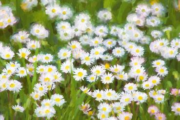 Vlies-Fototapete MS-5-1990 – Draufsicht auf florales Dessin mit warmen Farbtönen, Format 375 × 250 cm, brillante Druckqualität.