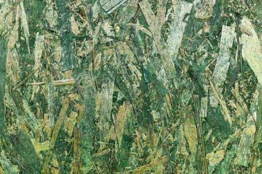 „Strukturmotiv der Vlies-Fototapete MS-5-2539 in Draufsicht – detailreiche Oberfläche mit räumlicher Wirkung im Format 375×250 cm“
