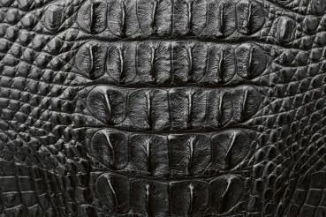 „Strukturmotiv der Vlies-Fototapete MS-5-2583 in Draufsicht – detailreiche Oberfläche mit räumlicher Wirkung im Format 375×250 cm“