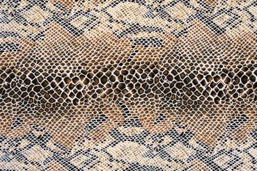 „Strukturmotiv der Vlies-Fototapete MS-5-2584 in Draufsicht – detailreiche Oberfläche mit räumlicher Wirkung im Format 375×250 cm“