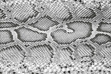 „Strukturmotiv der Vlies-Fototapete MS-5-2585 in Draufsicht – detailreiche Oberfläche mit räumlicher Wirkung im Format 375×250 cm“