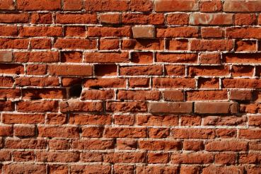 Vlies-Fototapete MS-5-2665 mit realistischer Holzstruktur in Draufsicht – warmes Design und natürliche Maserung