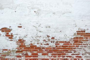 Vlies-Fototapete MS-5-2694 mit realistischer Holzstruktur in Draufsicht – warmes Design und natürliche Maserung