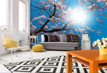 Preview: „Raumansicht mit Vlies-Fototapete MS-5-1843 – modernes, vielseitiges Motiv als Wandgestaltung in Wohn- oder Arbeitsbereich“