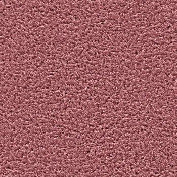 Preview: Top view of a rectangular carpet pattern in fraise red