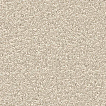 Preview: Top view of a rectangular carpet pattern in light beige