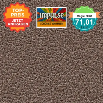 Top view of a square carpet pattern in brown