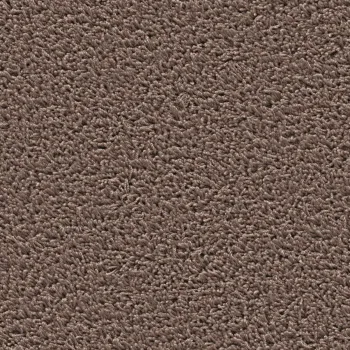 Preview: Top view of a rectangular carpet pattern in brown