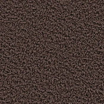 Preview: Top view of a rectangular carpet pattern in dark brown
