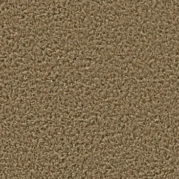 Preview: Top view of a rectangular carpet pattern in caramel