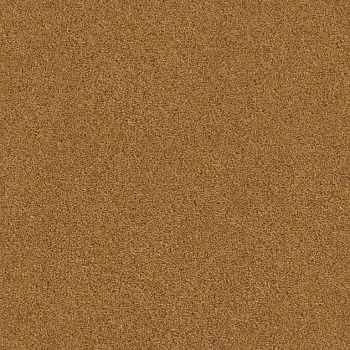 Draufsicht Girloon TWIN Teppichboden Velours 870 Mandel, 2/4 m breit