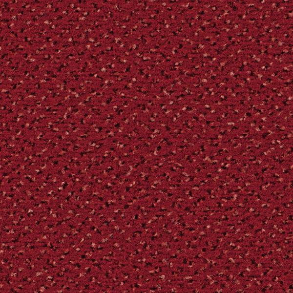 Quadrabild vom Alexis