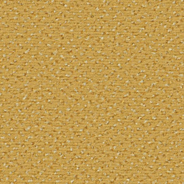 Quadrabild vom Alexis