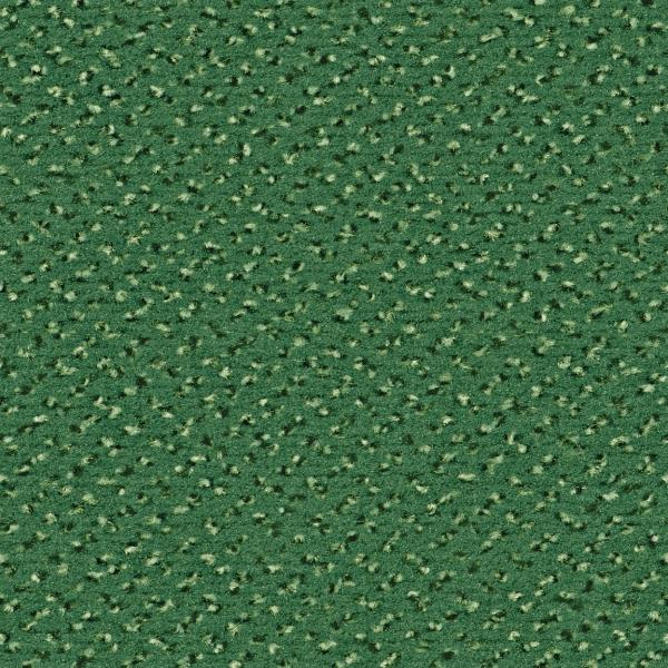 Quadrabild vom Alexis