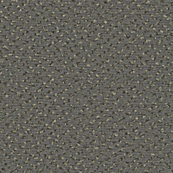 Quadrabild vom Alexis