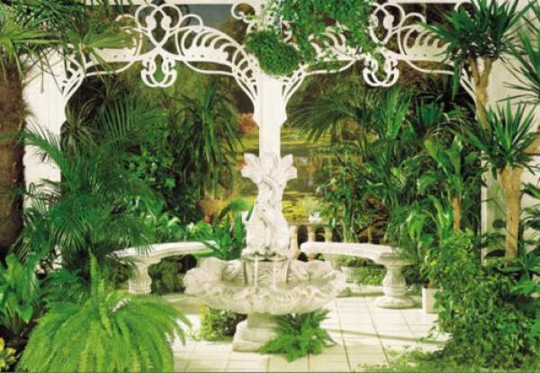 Fototapete 388 x 270 cm – 8-040 Indoor Garden – versandkostenfrei in D*