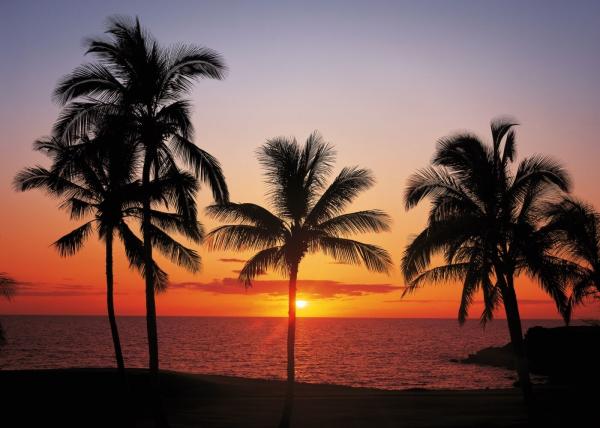 Fototapete 368 x 254 cm - 98307 Hawaii - versandkostenfrei in D*