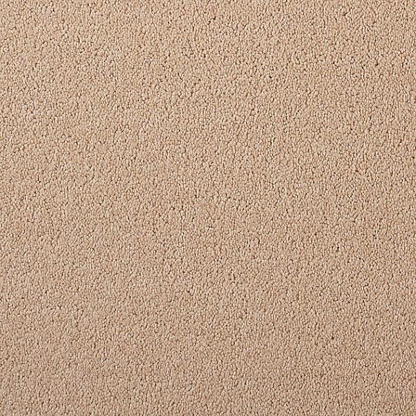 Girloon Body Teppichboden 811 parma – Draufsicht