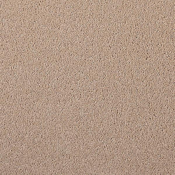 Girloon Body Teppichboden 841 sanddorn – Draufsicht