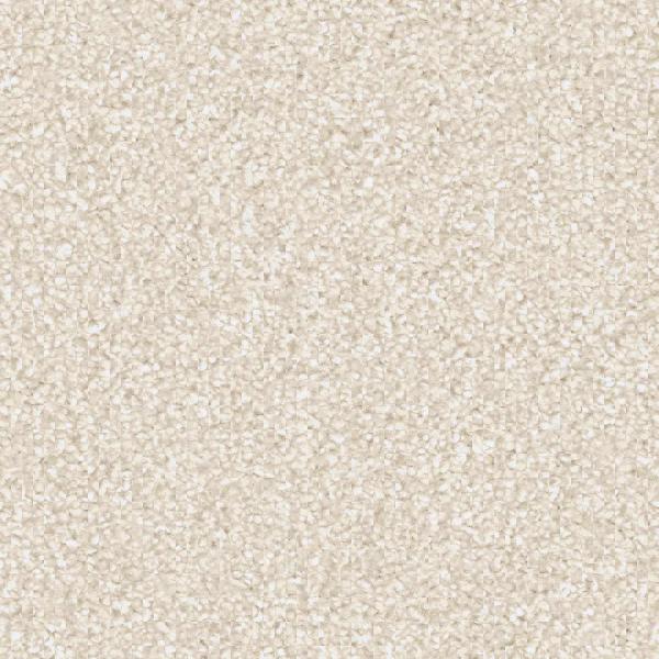 Vorwerk Teppichboden Luana 6C52 - 100 m" Großrolle - UVP 6.990 € - versandkostenfrei