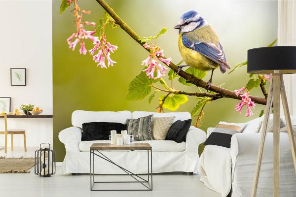„Tiermotiv-Fototapete MS-5-0396 als Blickfang im Wohnzimmer – lebendige Farben und räumliche Tiefe“