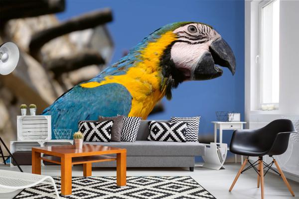 „Tiermotiv-Fototapete MS-5-0404 als Blickfang im Wohnzimmer – lebendige Farben und räumliche Tiefe“
